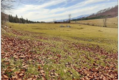 Teren Cu Priveliste Panoramica Si Acces Din Drumul Principal - 2