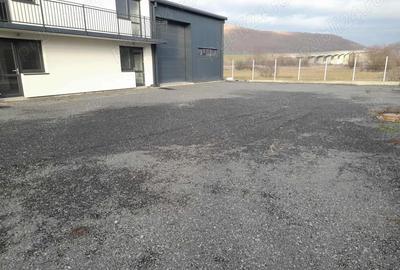 Hala de inchiriat in Luna de Sus - 2