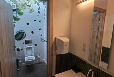 Piata 1 Mai spatiu demisol 475 mp - 22