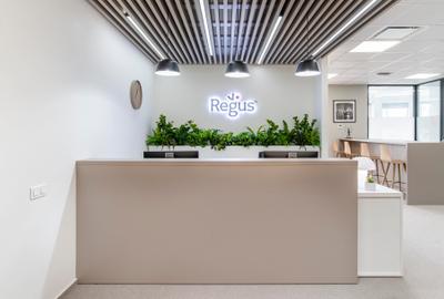Acces la un spațiu de birou pentru 10 persoane în Regus Central Business Plaza - 4