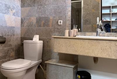 Vila ideala in Swan Lake  Village Cernica– confort si siguranta - 20