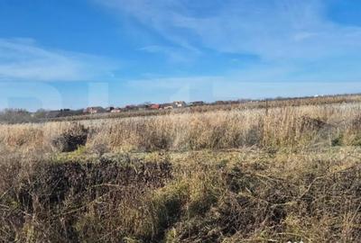 Teren de 1000 mp, în Odoreu