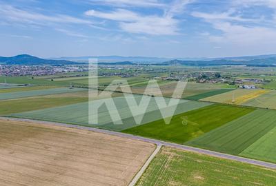 Teren de vanzare I 8 Euro/ mp I Deschidere la drum - Harman - 10