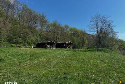 Casă cu Teren 14390 Mp în Sânpaul - 18