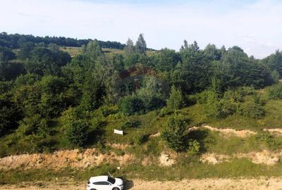 Teren de vanzare in Salicea, 10000 MP , Zona Moara de vant! Teren de vanzare in Salicea, 10000 MP , Zona Moara de vant! - 2