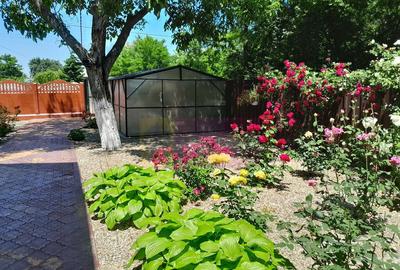 Movilita (IL) - de vanzare casa 5 cam p+1 - 17