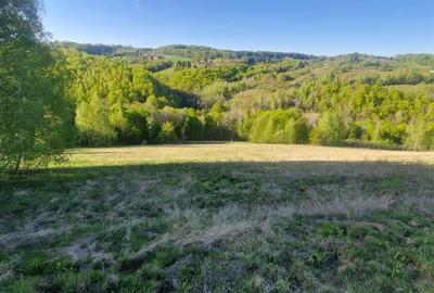 Teren intravilan de 33210 mp, în Șinteu - 2