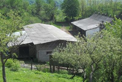 Teren în Toculești - 6