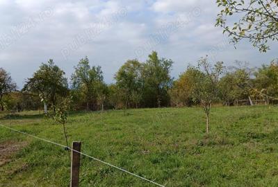 Casă cu 1 camere în Crocna - 2