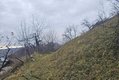 Casă cu 4 camere în Văleni-Dâmbovița - 7