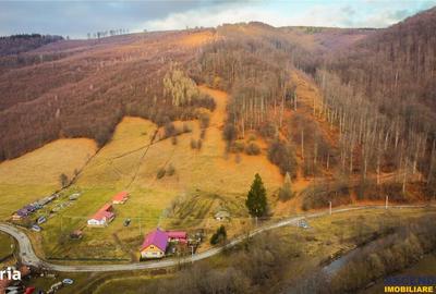 Teren de 5425 mp, în Vama Buzăului