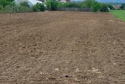 Teren în Șimnicu de Sus - 1