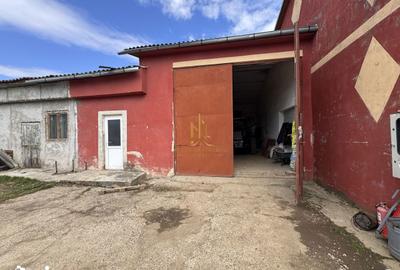 Spațiu comercial, de 600 mp, în Dumbrăveni - 12