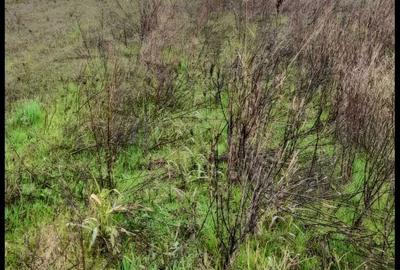 Spațiu comercial, în Central - 6