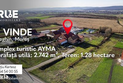 Spațiu comercial, de 2,742 mp, în Breaza - 6