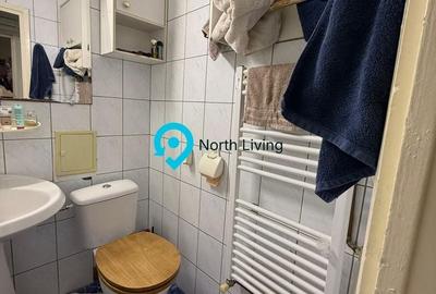 Apartament cu 3 camere semidecomandat în Ozana - 22