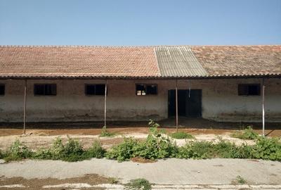 Ferma cu hale 3000 mp si teren 12000 mp, 30 km de Constanta - 4