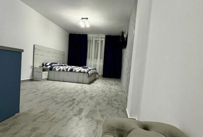 Garsonieră semidecomandată în Calea București - 4