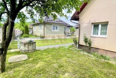Casă cu 5 camere cu Teren 10000 Mp în Petrești - 5