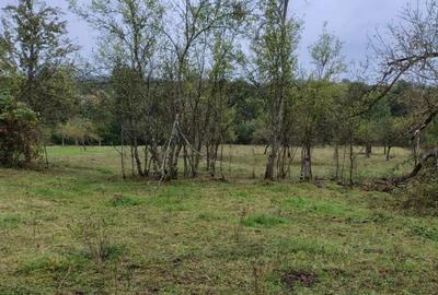 Casă cu 3 camere în Vârfurile - 1