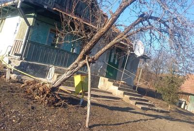 Casă cu 2 camere în Ceanu Mare - 3