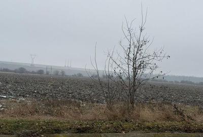 Teren de 30000 mp, în Săucești - 2