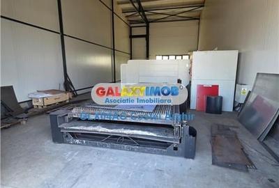 Inchiriem spatiu industrial/hala 700 mp Mioveni , Arges - 6