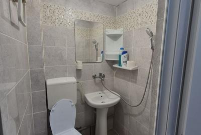 Garsonieră decomandată, mobilată în Palas - 5