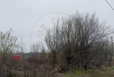 Teren de 533 mp - 10 min de Pitesti-Albota Arges! - 7