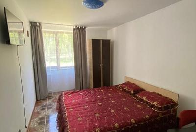 Apartament cu 2 camere decomandat în Central - 1