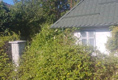Casă cu 2 camere în Buciumi - 4