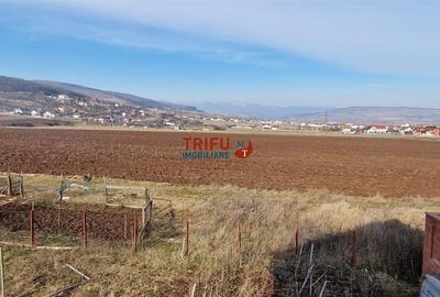 Casa de vanzare S+P+E Alba Micesti 670mp teren - 14