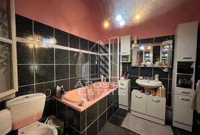 Casa individuala  7 camere, 3 bai, garaj, teren 1129 mp, zona Iosefin - 13