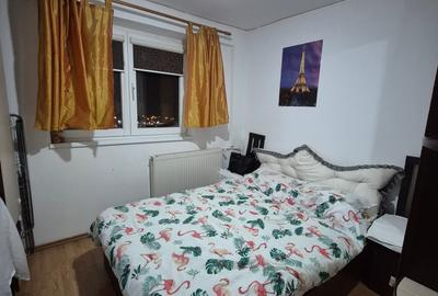 Apartament cu 2 camere, mobilat în 1 Decembrie 1918 - 9
