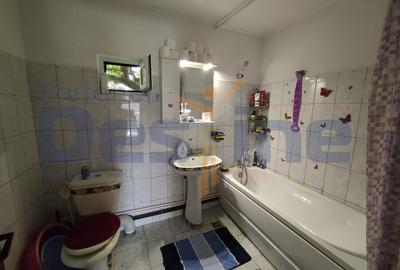 Horpaz Casa individuala P+M 208 mp utili + 650 mp teren + gradina - 10