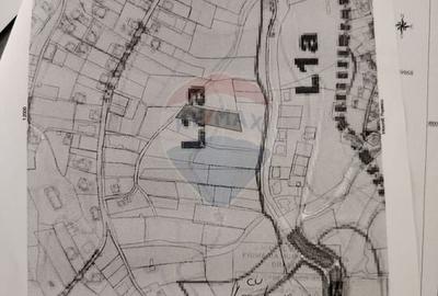 Teren Construcții intravilan de 2710 mp, în Schei - 8