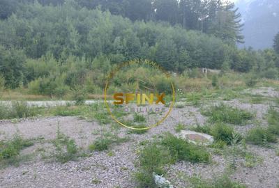 Teren intravilan 15.000 mp Busteni - 3