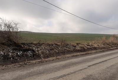 Teren de 30000 mp, în Exterior Vest - 3