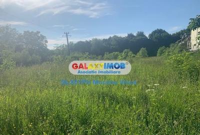 Teren Construcții intravilan de 1193 mp, în Păulești - 10