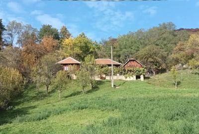 Casă cu 4 camere în Pui - 1