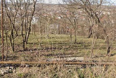 Teren de 1000 mp, în Exterior Vest - 2