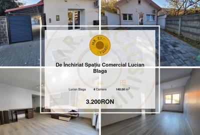 De Inchiriat Spatiu Comercial Lucian Blaga - 10
