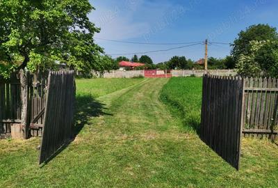 Casă cu 3 camere în Orbeasca - 4