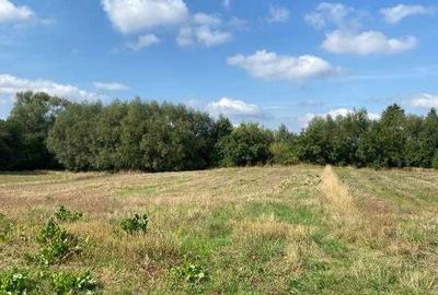 Spațiu comercial, în Marginea - 3