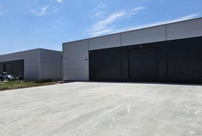 Spațiu industrial, de 595 mp, în Central - 3