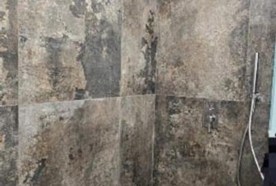 Apartament cu 3 camere decomandat, mobilat în Zorilor - 6