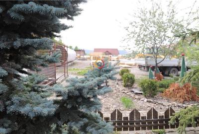 Constructii si teren  intravilan18.000 mp - 10