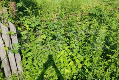 Teren de 1049 mp, în Central