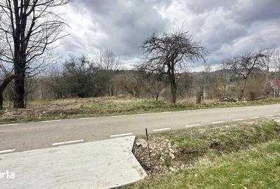 Teren de 2877 mp, în Brebu - 6