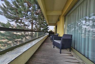 Apartament cu 2 camere decomandat, mobilat în Drumul Poienii - 4